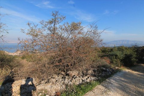 22000m² Land in Corfu, Greece No. 57803 4