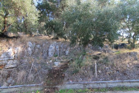 4300m² Land en Corfu, Greece No. 57807 8