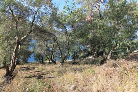 4300m² Land en Corfu, Greece No. 57807 5