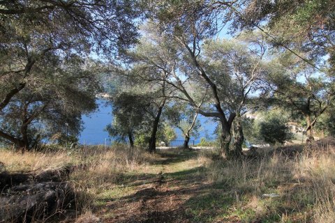 4300m² Land in Corfu, Greece No. 57807 2