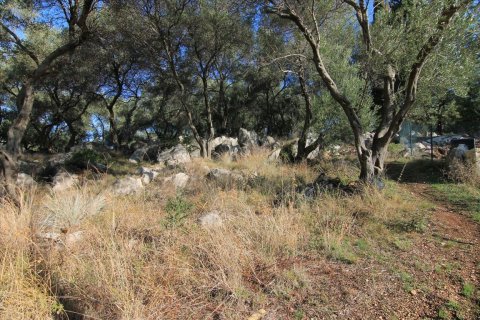 4300m² Land in Corfu, Greece No. 57807 3