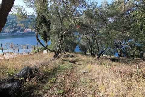 4300m² Land in Corfu, Greece No. 57807 4