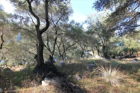 4300m² Land in Corfu, Greece No. 57807 6