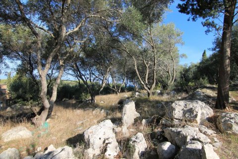 4300m² Land à Corfu, Greece No. 57807 7