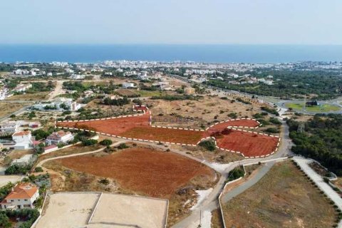 12890m² Land in Ayia Napa, Cyprus No. 74264 1