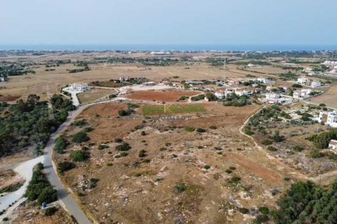 12890m² Land in Ayia Napa, Cyprus No. 74264 2