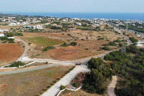 12890m² Land in Ayia Napa, Cyprus No. 74264 3