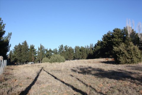 5500m² Land in Pylaia, Greece No. 58325 10