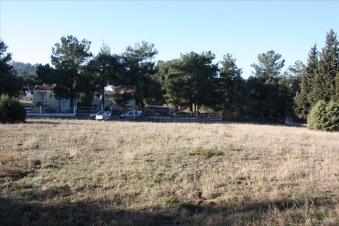 5500m² Land in Pylaia, Greece No. 58325 4