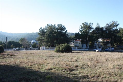 5500m² Land en Pylaia, Greece No. 58325 3