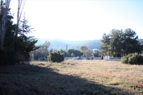 5500m² Land en Pylaia, Greece No. 58325 2