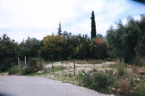 6179m² Land in Lefkada, Greece No. 56636 6