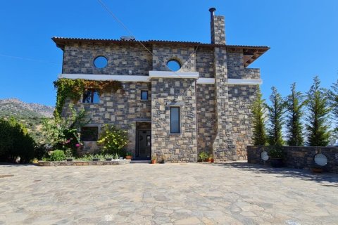 600m² Villa en Agios Nikolaos, Greece No. 55865 3