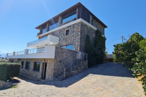 600m² Villa à Agios Nikolaos, Greece No. 55865 2