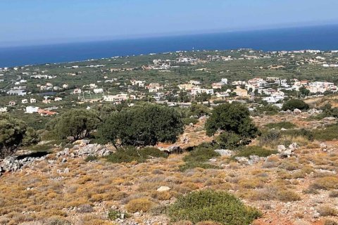 20000m² Land in Heraklion, Greece No. 55864 5