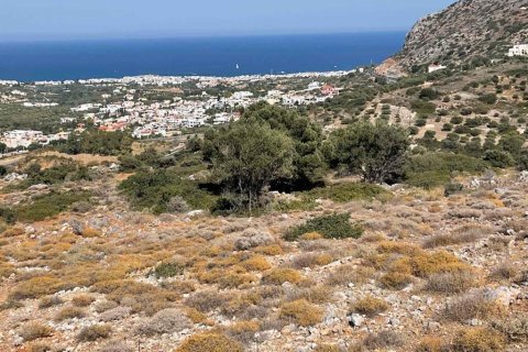 20000m² Land en Heraklion, Greece No. 55864 4