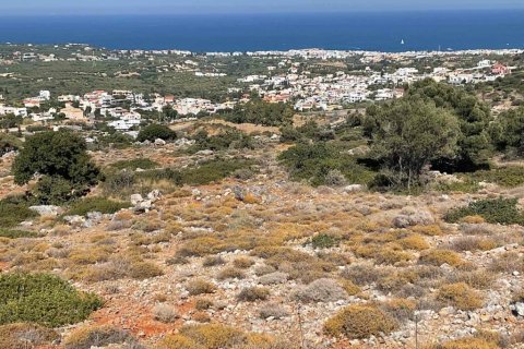 20000m² Land in Heraklion, Greece No. 55864 6