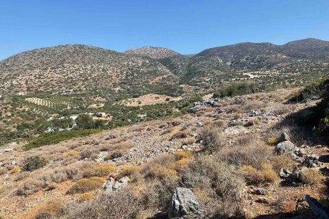 20000m² Land en Heraklion, Greece No. 55864 2