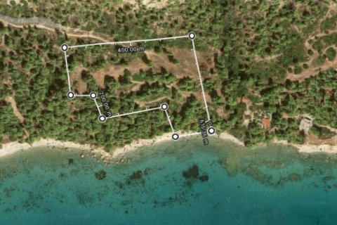 21000m² Land en Chalkidiki, Greece No. 55863 1