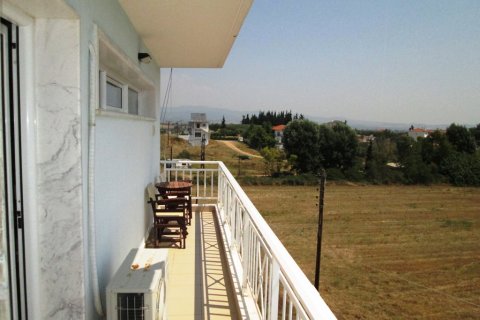 300m² Business in Chalkidiki, Greece No. 59526 4