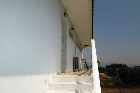 300m² Negocio en Chalkidiki, Greece No. 59526 20