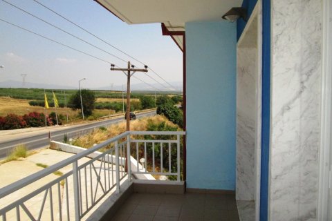 300m² Business in Chalkidiki, Greece No. 59526 17