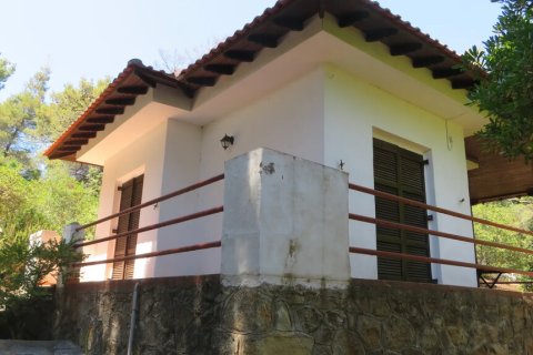 1 chambre House à Chalkidiki, Greece No. 54399 1