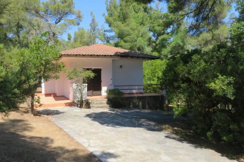 1 dormitorio House en Chalkidiki, Greece No. 54399 7