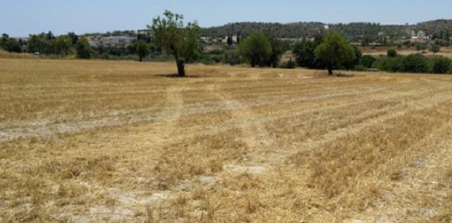 24722m² Land à Alethriko, Cyprus No. 44004