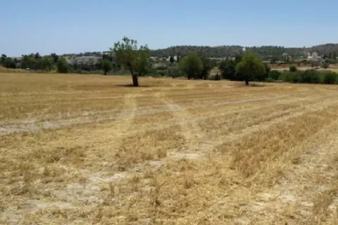 24722m² Land à Alethriko, Cyprus No. 44004 1