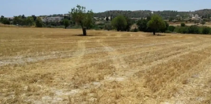 24722m² Land in Alethriko, Cyprus No. 44004