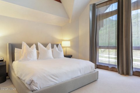 2 chambres Copropriété  à Vail, USA No. 62105 9