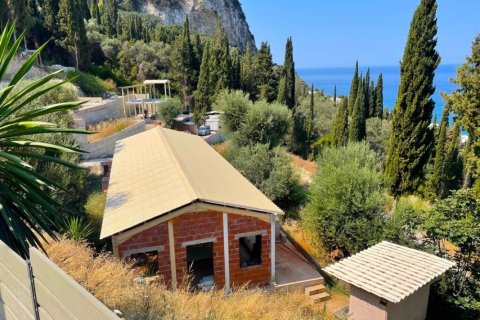 224m² Villa in Corfu, Greece No. 47289 13