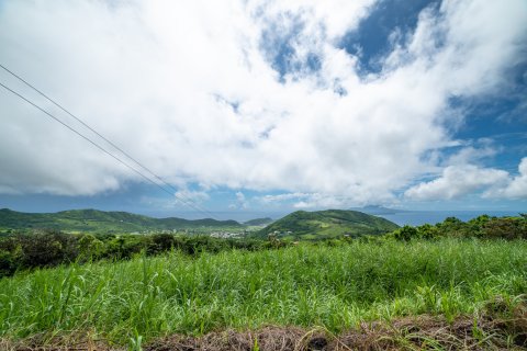 3 bedrooms Villa in Saint Peter's, Saint Kitts and Nevis No. 61421 4