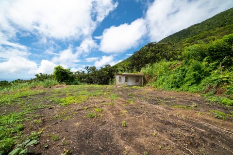 3 chambres Villa à Saint Peter's, Saint Kitts and Nevis No. 61421 5