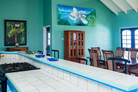 4 dormitorios Villa en Lucas, Saint Kitts and Nevis No. 61414 23