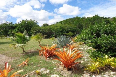 8 chambres Villa à Willikies, Antigua and Barbuda No. 61411 12