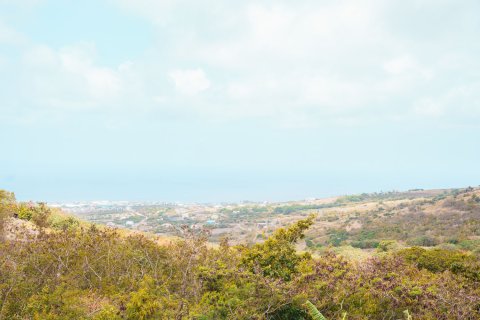 3 chambres Villa à Basseterre, Saint Kitts and Nevis No. 61415 22