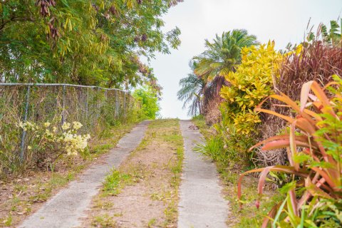 3 bedrooms Villa in Basseterre, Saint Kitts and Nevis No. 61415 18