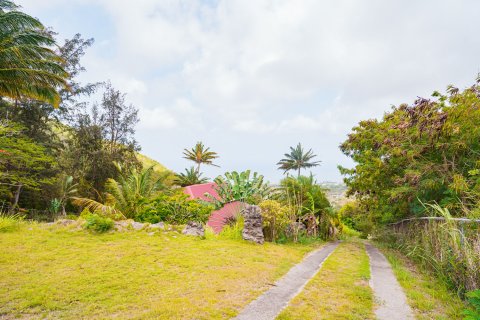 3 chambres Villa à Basseterre, Saint Kitts and Nevis No. 61415 19