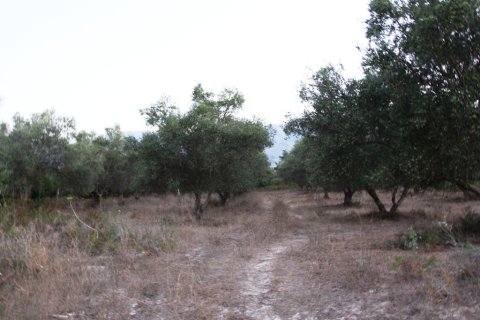 14500m² Land en Chania, Greece No. 59424 3