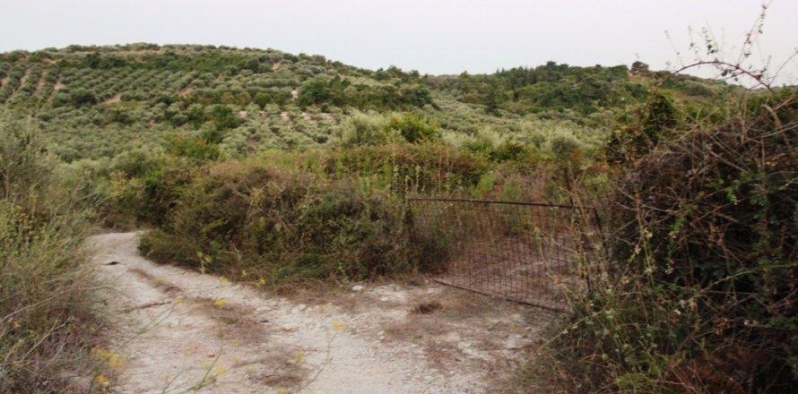 14500m² Land en Chania, Greece No. 59424