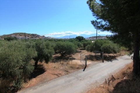 7800m² Land in Agios Nikolaos, Greece No. 59427 4