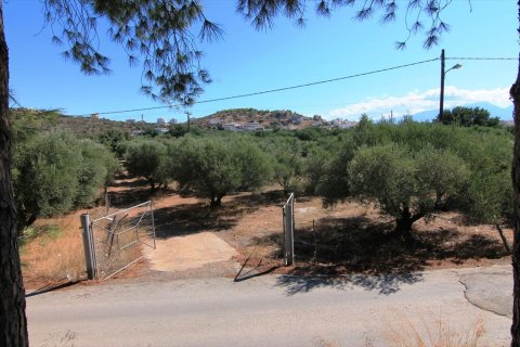 7800m² Land in Agios Nikolaos, Greece No. 59427 3