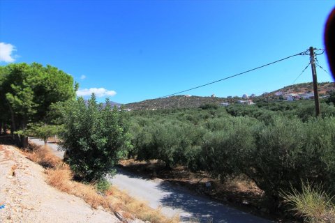 7800m² Land en Agios Nikolaos, Greece No. 59427 2