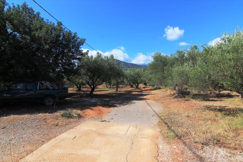 7800m² Land à Agios Nikolaos, Greece No. 59427 1