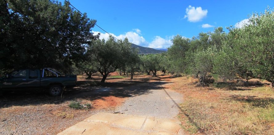 7800m² Land en Agios Nikolaos, Greece No. 59427