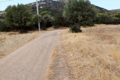 7900m² Land in Palaia Fokaia, Greece No. 59425 4