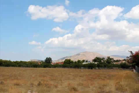 7900m² Land à Palaia Fokaia, Greece No. 59425 2