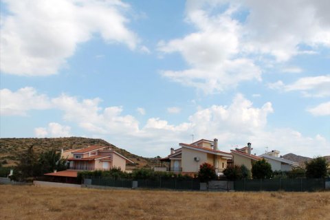 7900m² Land in Palaia Fokaia, Greece No. 59425 6